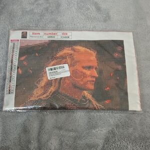 Diamond Art Kit with Warrior Design